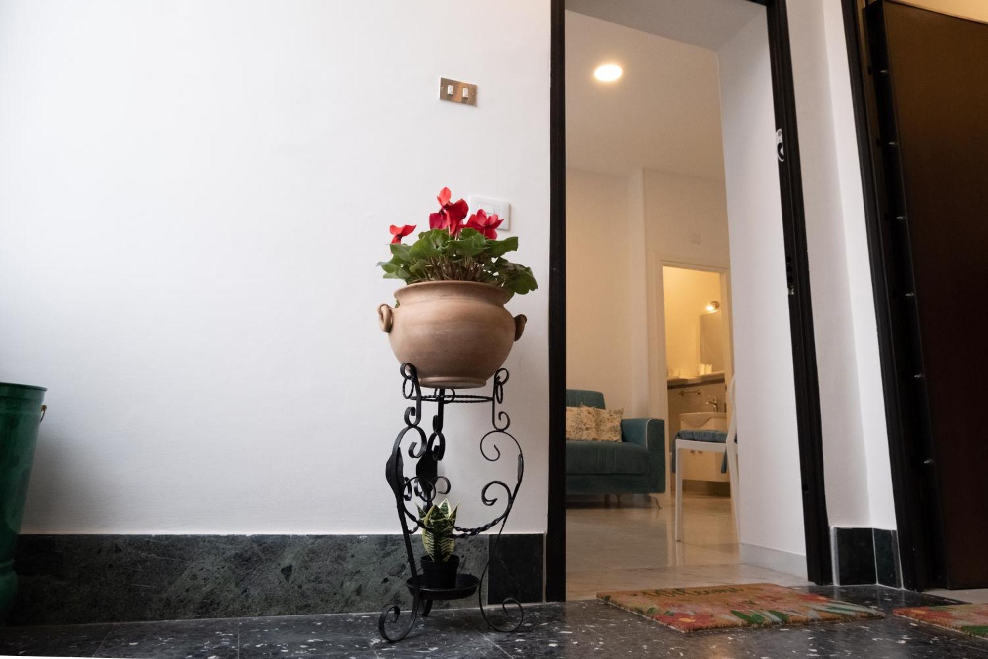 Montalbino House - Rooms And Apartments 下诺切拉 外观 照片